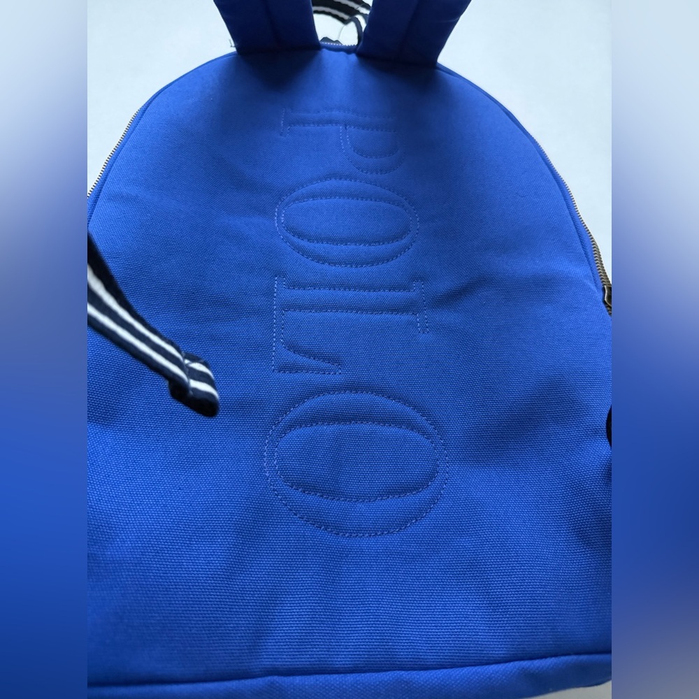 Polo Ralph Lauren 67 Bear Baseball Embroidered Men's Backpack - Picture 6 of 12